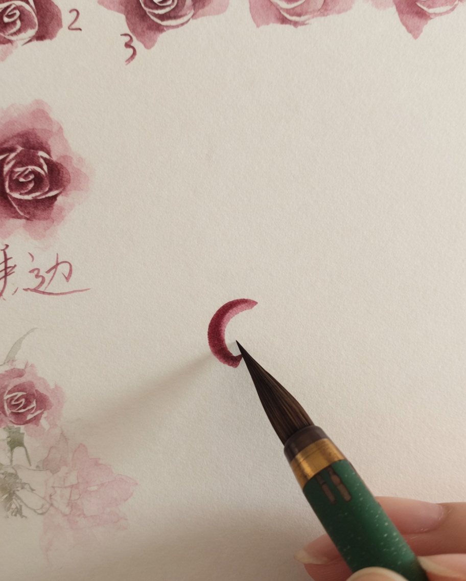 Un pinceau aquarelle ajoutant de petits traits fins roses autour du centre de la rose précédemment peint.