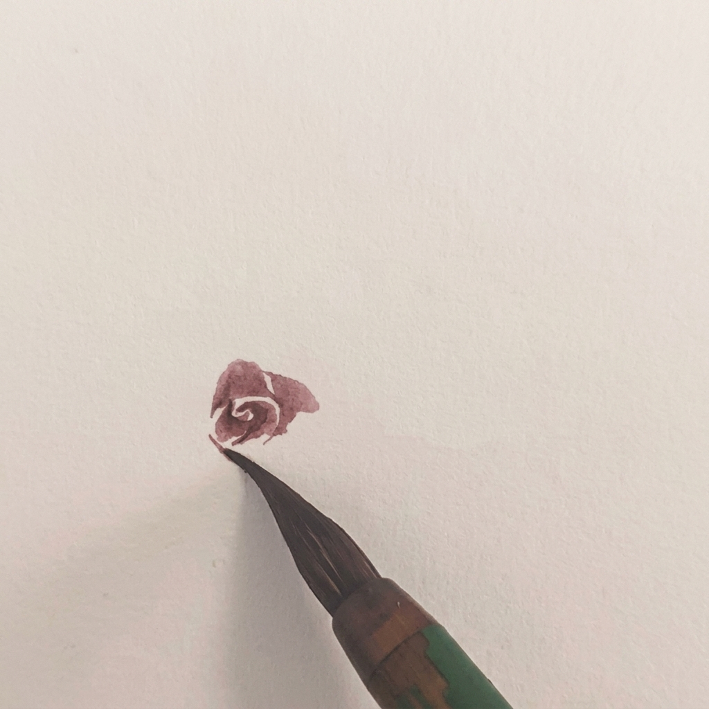 La rose aquarelle possède maintenant une couche de pétale supplémentaire sétendant vers le côté gauche.