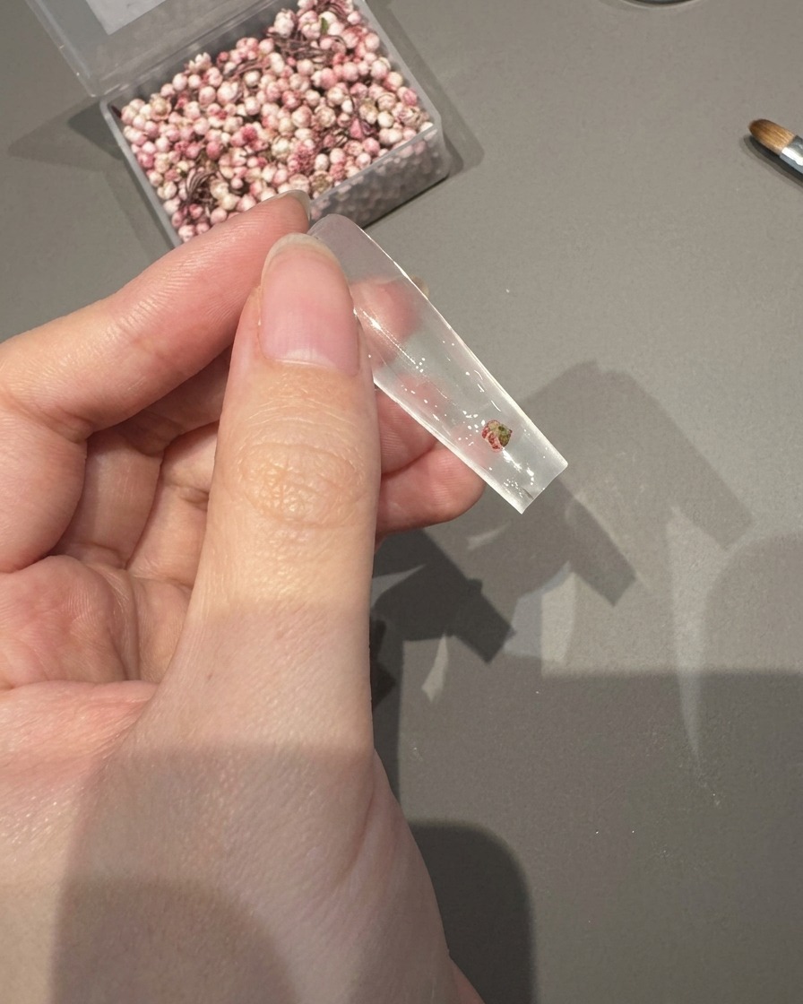 Une pince dépose une petite fleur séchée sur une capsule transparente recouverte de gel adhésif humide.