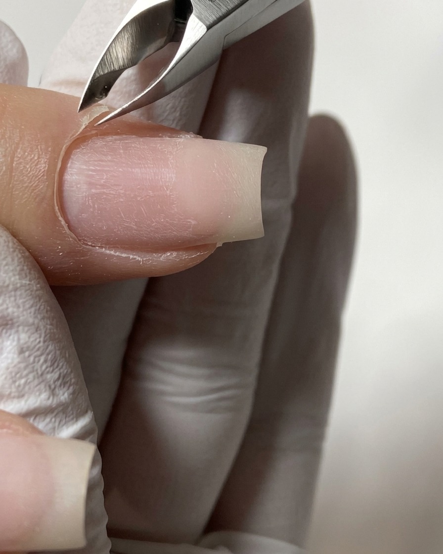 Gros plan sur une pince à cuticules en métal coupant avec précision les peaux mortes soulevées autour du repli proximal de longle.